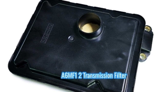 A6MF1 2 Filter Auto Transmission Auto Gear Boxes Parts for Hyundai KIA