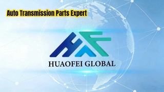 Hua Aofei Company Introduction